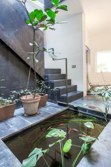Elegante Duplex Centro Sevilla Matahacas 1 Exterior photo